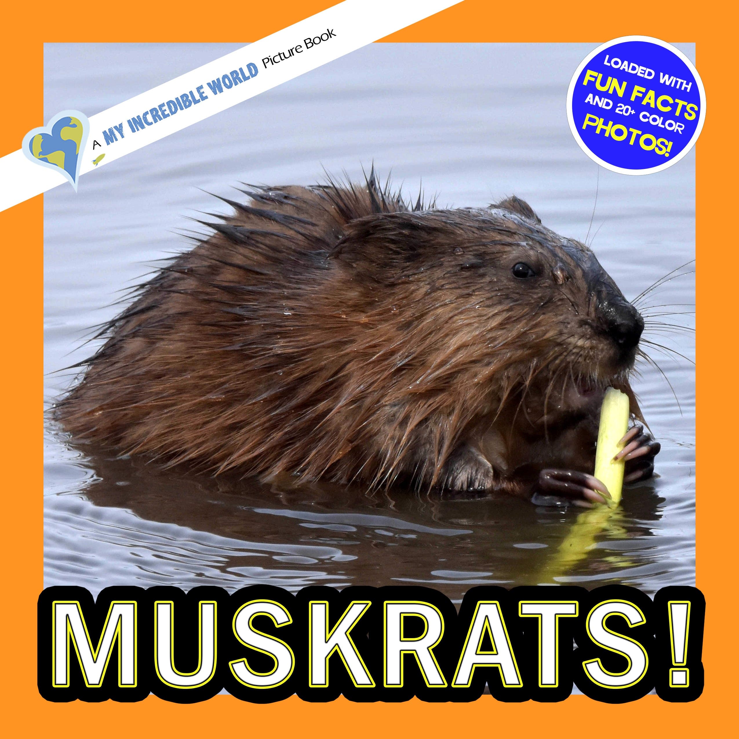 Muskrats! A My Incredible World Picture Book for Children